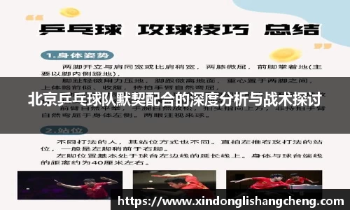 北京乒乓球队默契配合的深度分析与战术探讨
